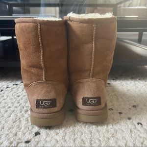Short Chestnut Uggs